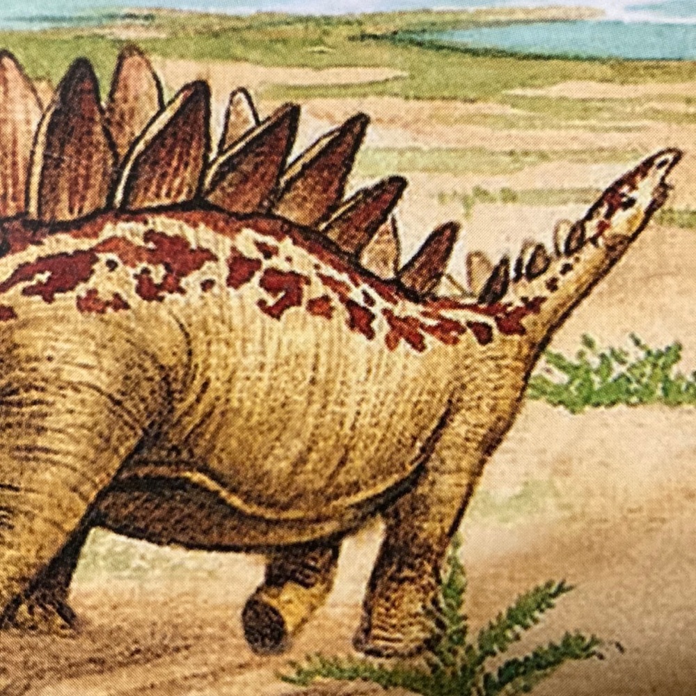 For the love of  DINOSAURS - Dino Figurine, Big Book & Floor Puzzle (48 pieces) - Picture 13 of 16